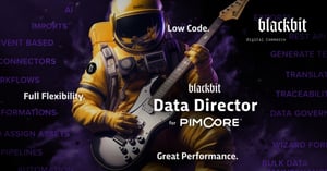 20230315_JH_Pimcore-Data-Director_1200x628