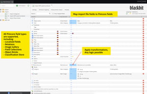 Pimcore product editing view for 