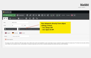 Pimcore Data Director attribute mapping for the dataport 