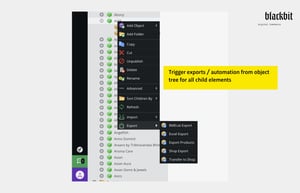 Pimcore Data Director settings view for the CSV import 